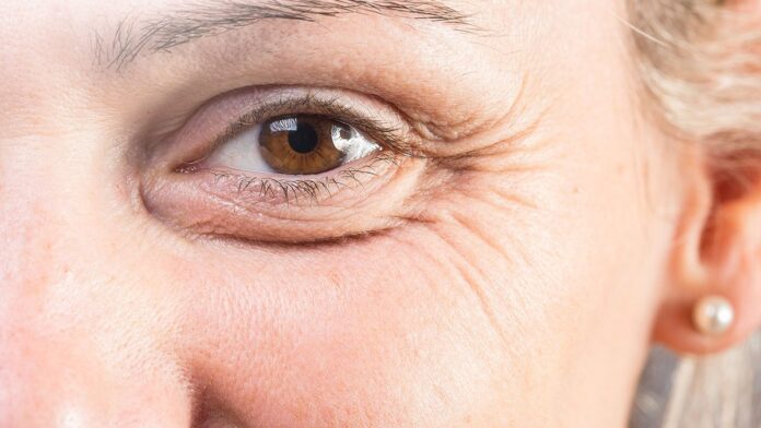 leebeaute - Stem Science