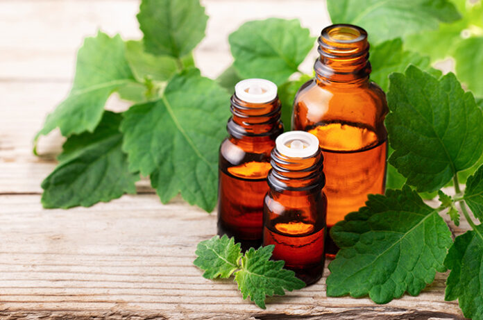 leebeaute - parfume patchouli