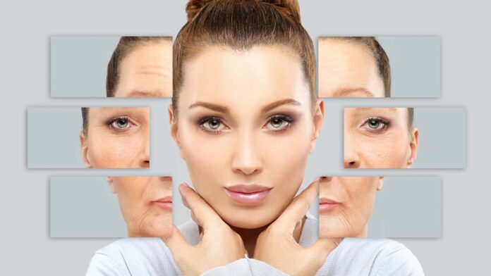 leebeaute - maruteskin