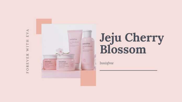 cherry blossom - leebeaute cherry blossom - leebeaute